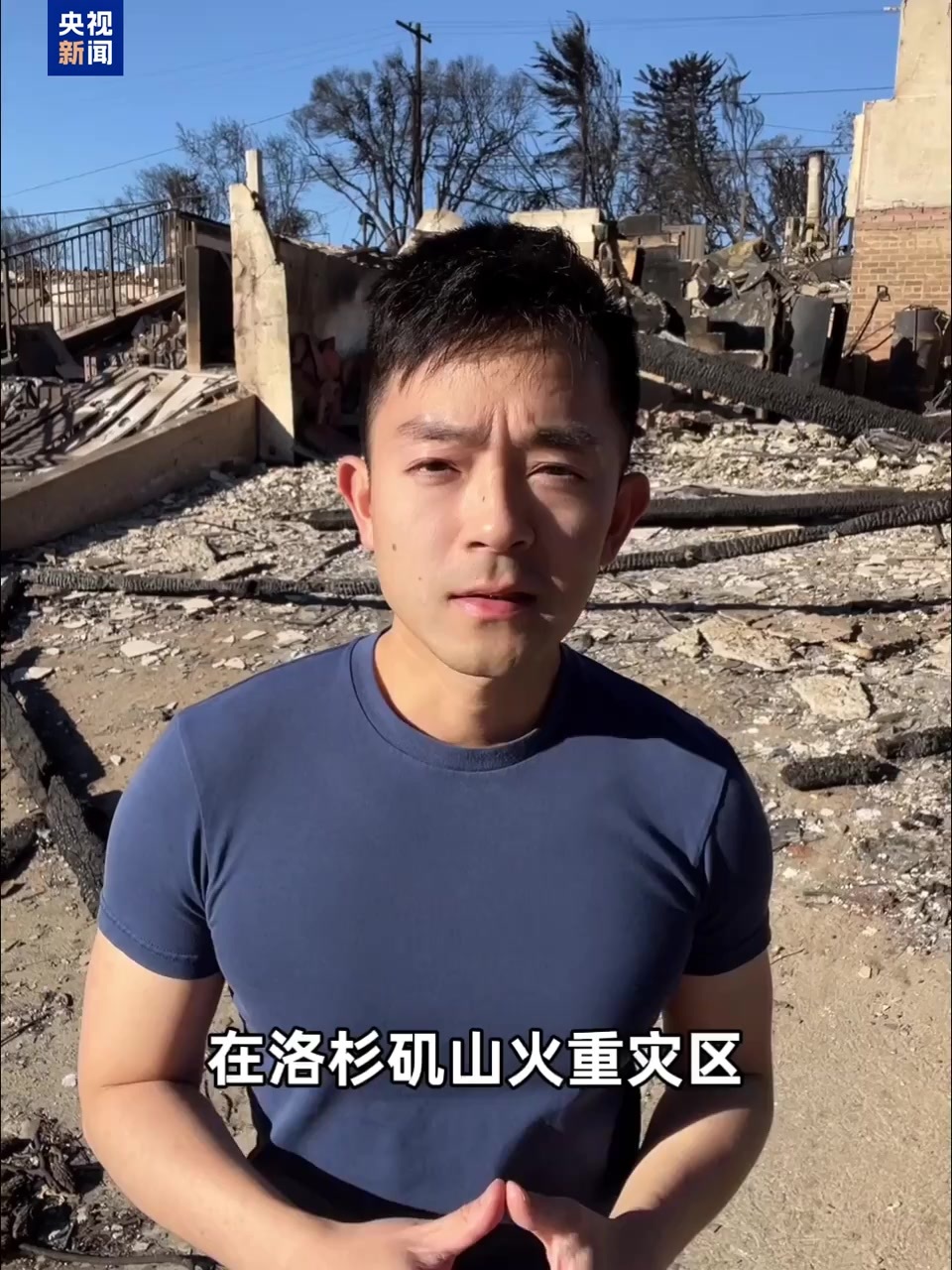 壇所共同期