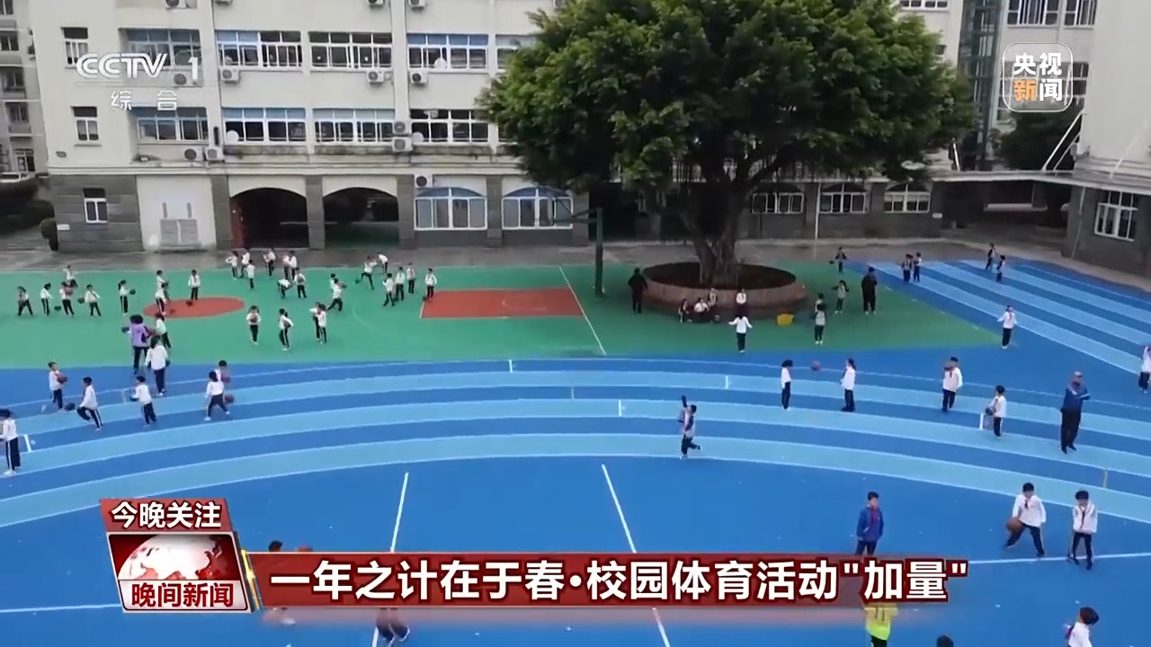 帕尔默与切